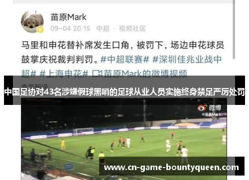 中国足协对43名涉嫌假球黑哨的足球从业人员实施终身禁足严厉处罚