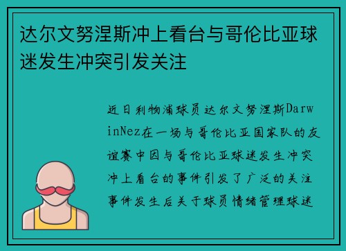 达尔文努涅斯冲上看台与哥伦比亚球迷发生冲突引发关注 达尔文努涅斯冲上看台与哥伦比亚球迷发生冲突引发关注