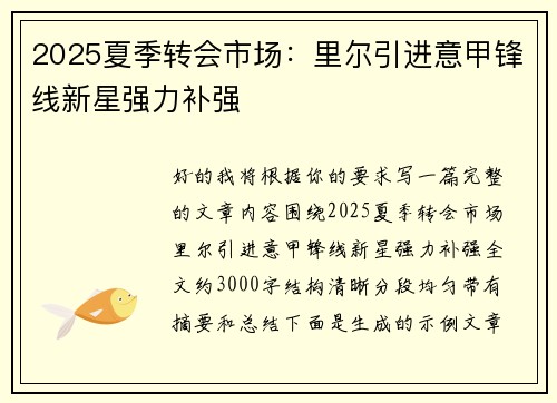 2025夏季转会市场：里尔引进意甲锋线新星强力补强